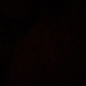 Meet your Posher, Bailie